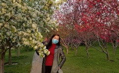 九色腾只为高清